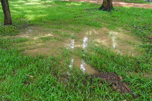 Cost of Storm Water Drainage Service in Philadelphia