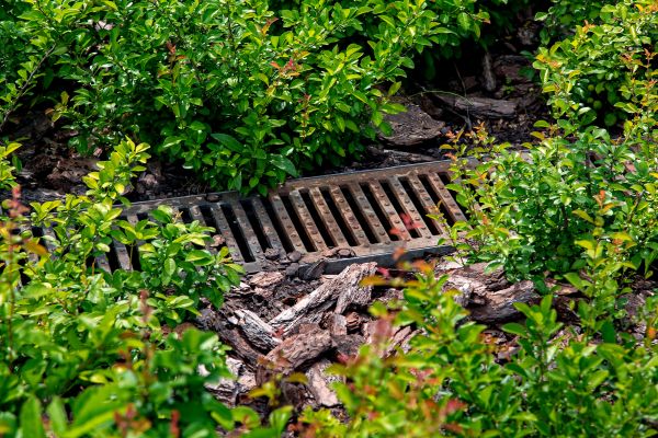 Cost of Underground Drainage Service in Philadelphia