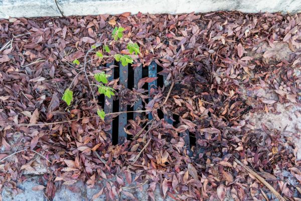 Cost of Yard Drain Unclogging in Philadelphia