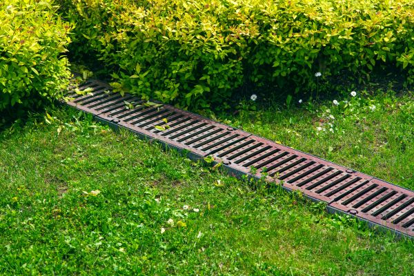 Cost of Lawn Drainage in Philadelphia