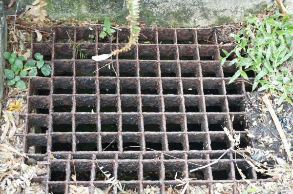 Cost of Yard Drain Cleaning in Philadelphia