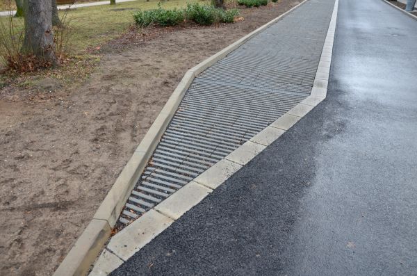 Cost of Muddy Yard Drainage in Philadelphia