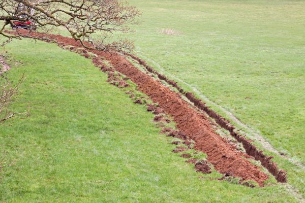 Cost of Swale Installation in Philadelphia