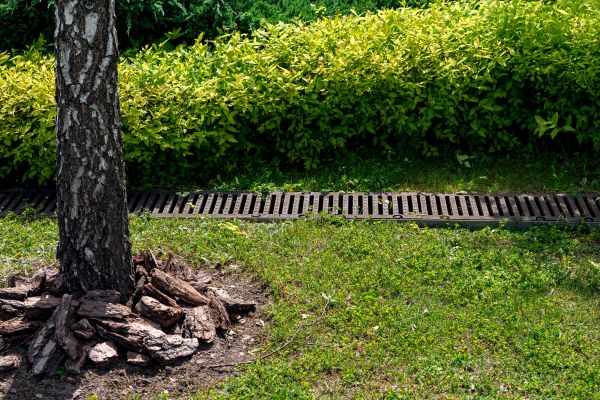 Cost of Garden Drainage Installation in Philadelphia