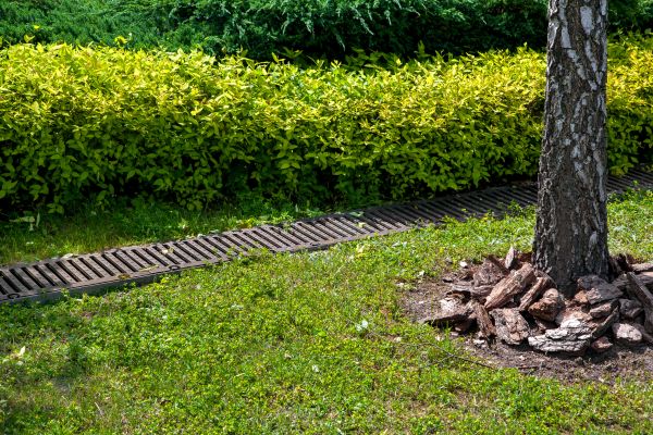 Cost of Residential Landscape Drainage in Philadelphia