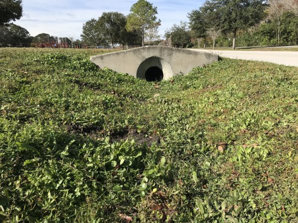 Cost of Swale Drainage Service in Philadelphia