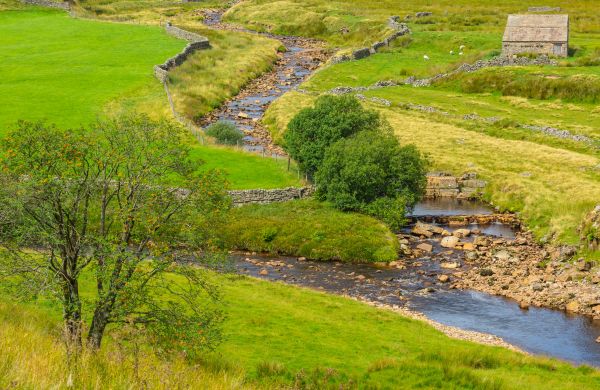 Cost of Swale Repair in Philadelphia